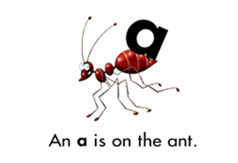 An a is the ant